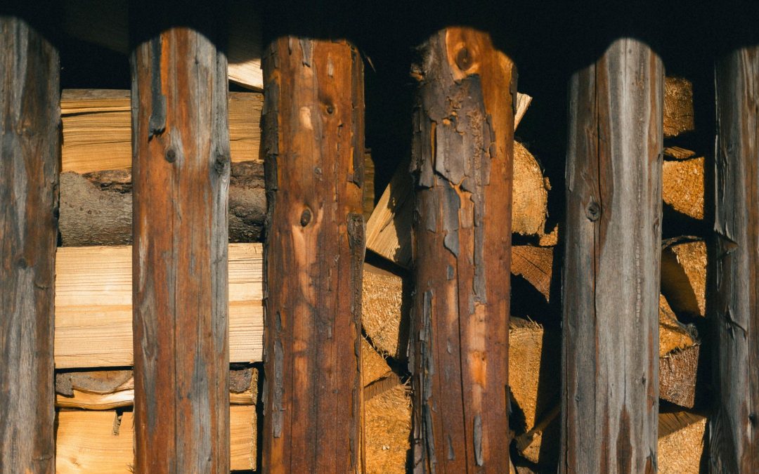 Actualidad: Exportaciones forestales del Biobío caen 40,7% y evidencian desafíos para el comercio exterior regional