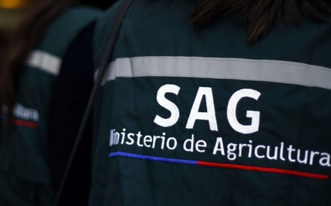El rol del SAG en las importaciones: qué productos requieren su revisión y cómo prepararse