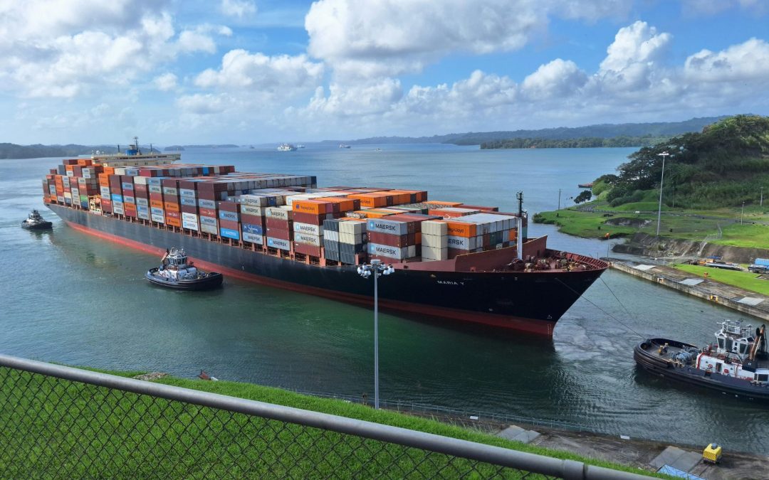 Tiempos en una importación: etapas clave desde el arribo hasta la entrega