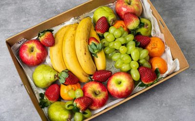 SAG y gremios exportadores coordinan preparación para la temporada frutícola 2026–2027